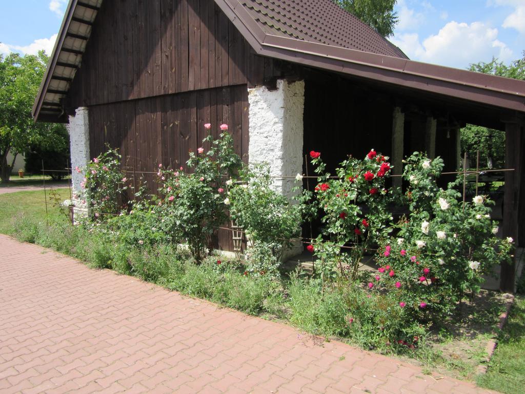 Gospodarstwo Agroturystyczno-Edukacyjne Gratka Celiny  Exterior foto